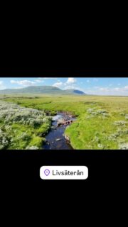 Varma sommardagar är ett besök vid Livsäterån en bra utflykt. Lätt vandring på några kilometer från parkeringen utmed vägen vid Högsta Hållan. Man kommer snabbt ovanför trädgränsen med fantastisk utsikt, inklusive fin vy över Funäsdalen by.
