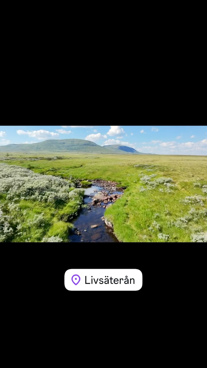 Varma sommardagar är ett besök vid Livsäterån en bra utflykt. Lätt vandring på några kilometer från parkeringen utmed vägen vid Högsta Hållan. Man kommer snabbt ovanför trädgränsen med fantastisk utsikt, inklusive fin vy över Funäsdalen by.